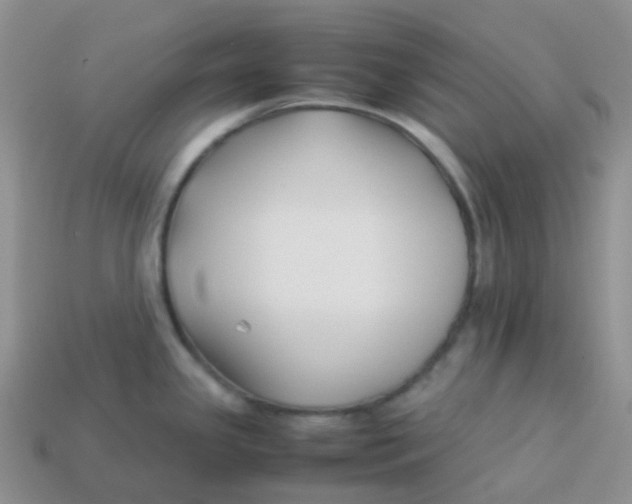 X0000113371341200910131313
