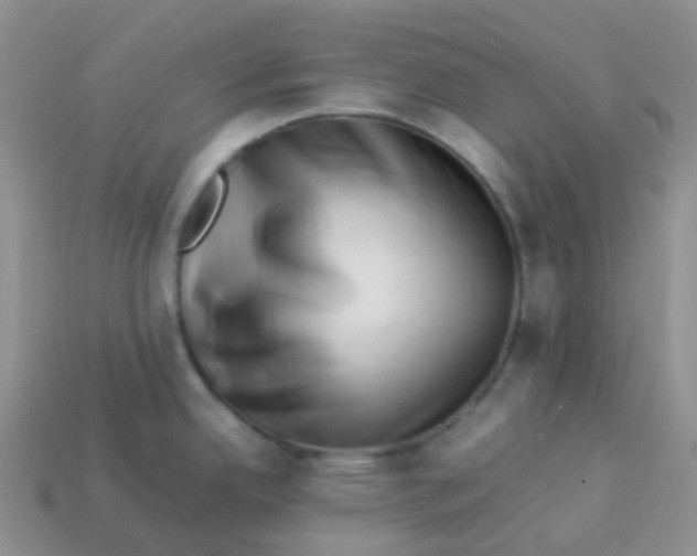 X0000113371342200910131313
