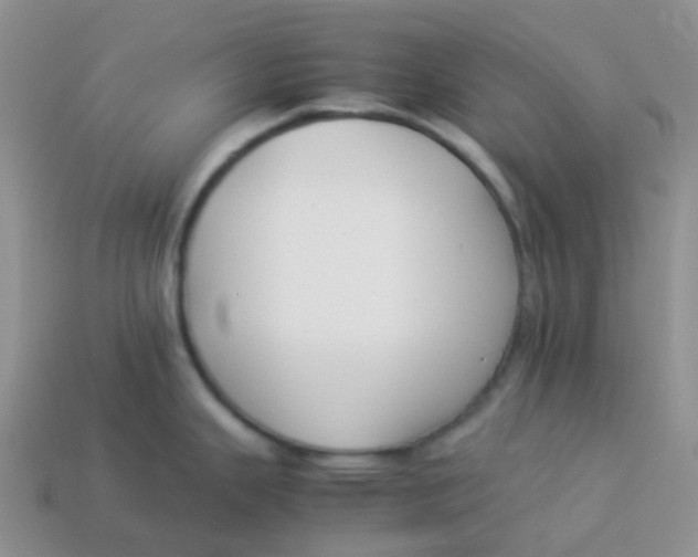 X0000113371343200910131313