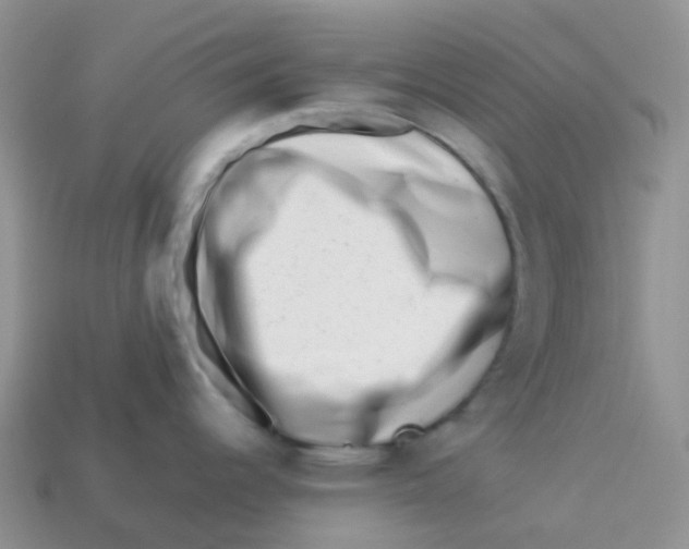 X0000113371344200910131313