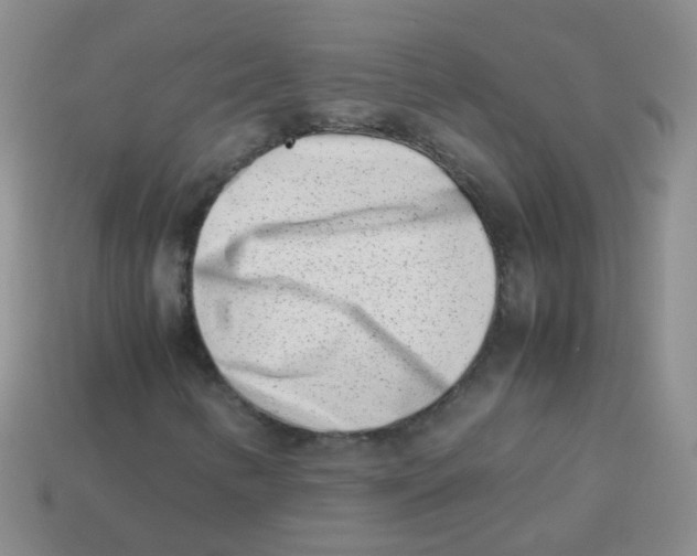 X0000113371346200910131313
