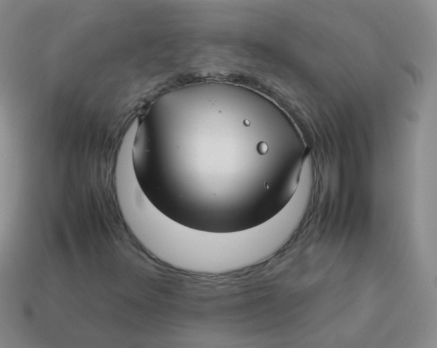 X0000113371348200910131313