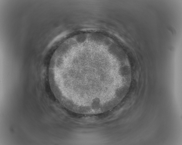 X0000113371351200910131312