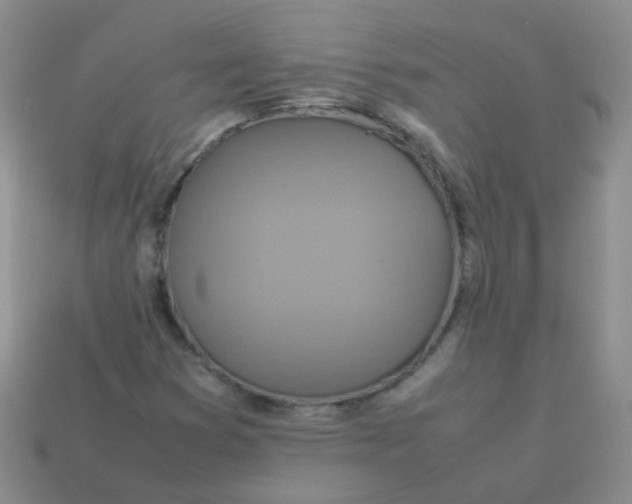 X0000113371353200910131312