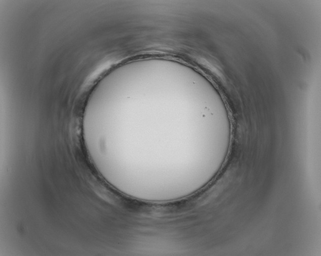 X0000113371355200910131312
