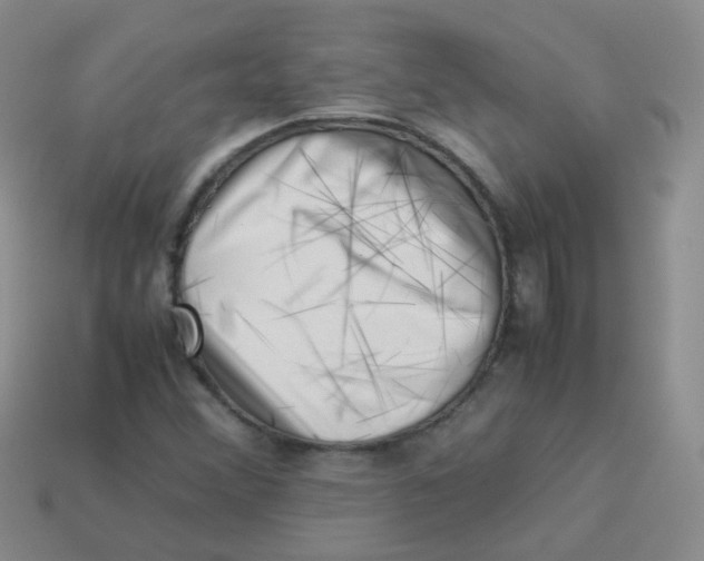 X0000113371356200910131312