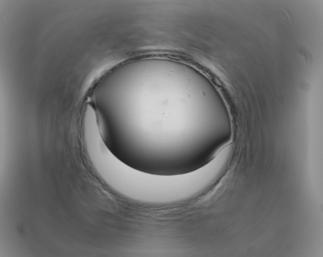 X0000113371357200910131312