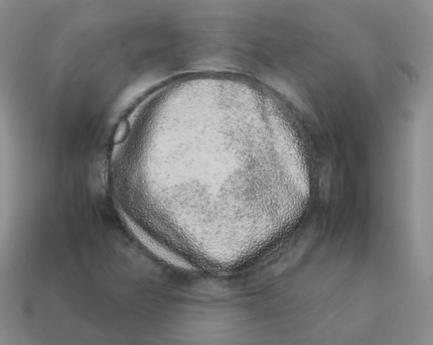 X0000113371358200910131312