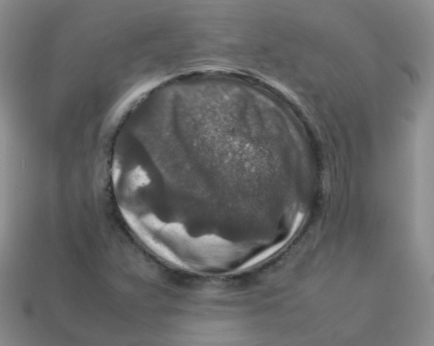 X0000113371359200910131312