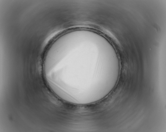 X0000113371360200910131312
