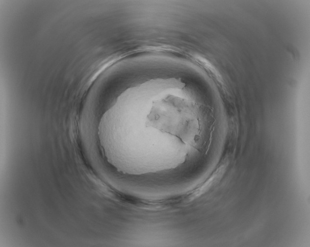 X0000113371361200910131312