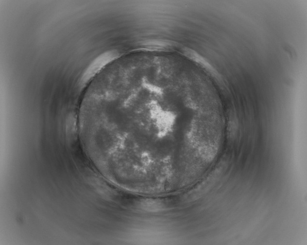 X0000113371362200910131312