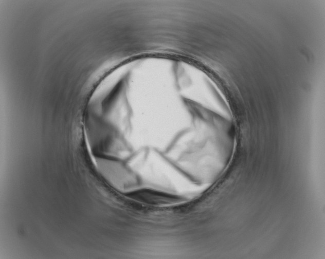 X0000113371363200910131312