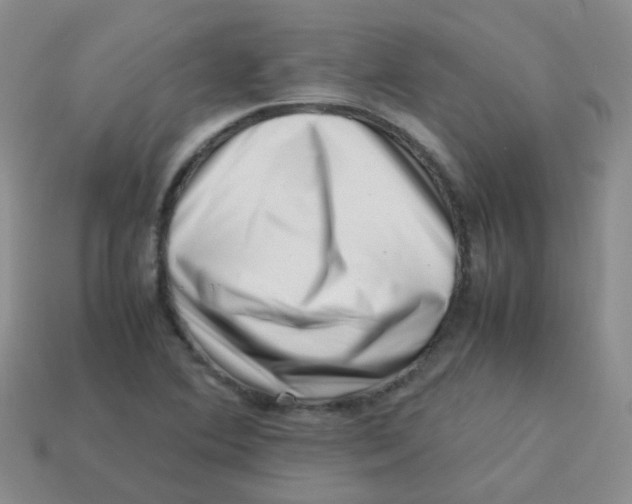 X0000113371364200910131312
