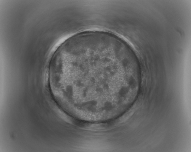 X0000113371367200910131312