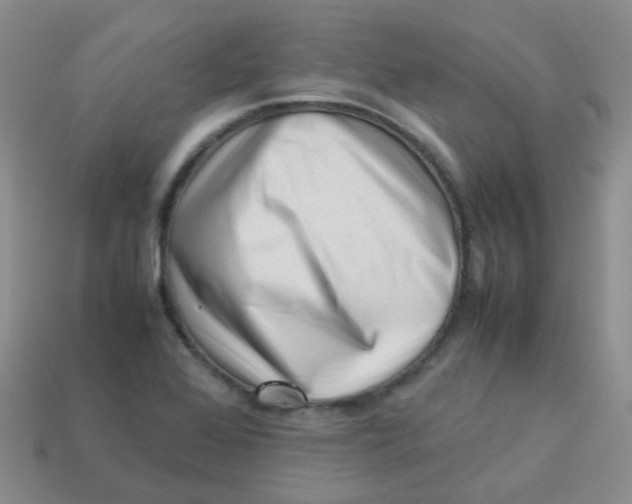 X0000113371368200910131312