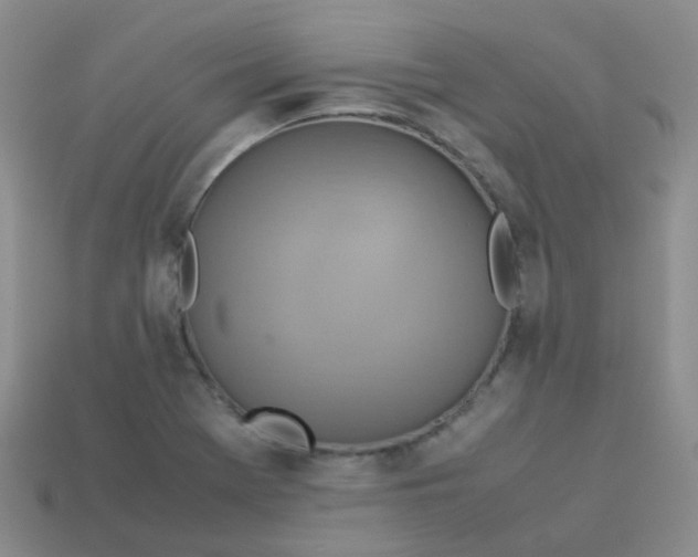 X0000113371369200910131312