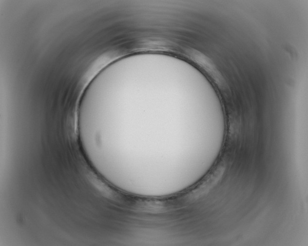 X0000113371370200910131312