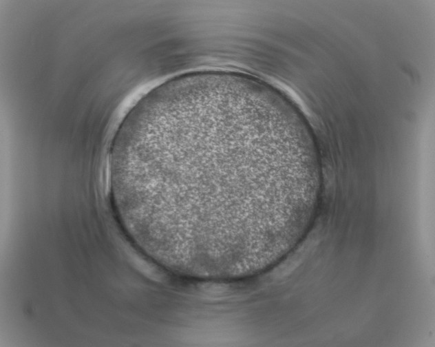 X0000113371371200910131312