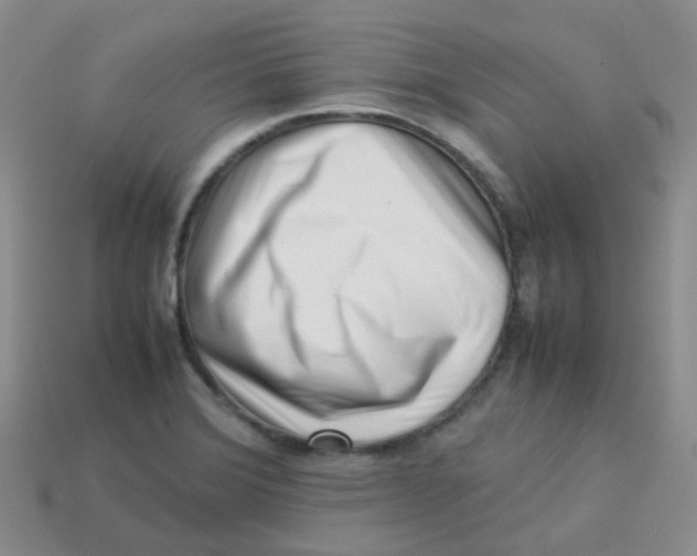X0000113371372200910131312