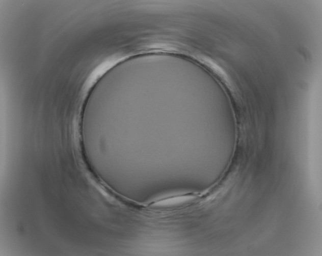 X0000113371373200910131312