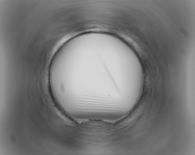 X0000113371375200910131312