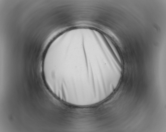 X0000113371376200910131312