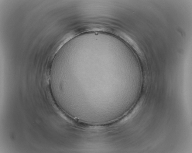 X0000113371377200910131312