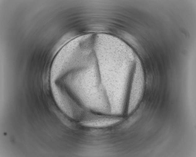 X0000113371378200910131312