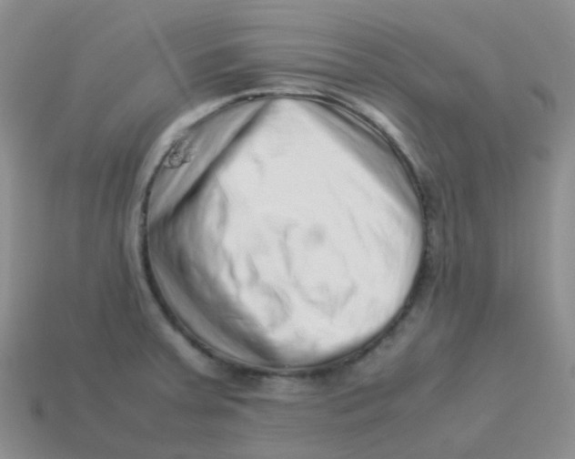 X0000113371379200910131312