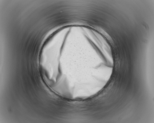 X0000113371380200910131312