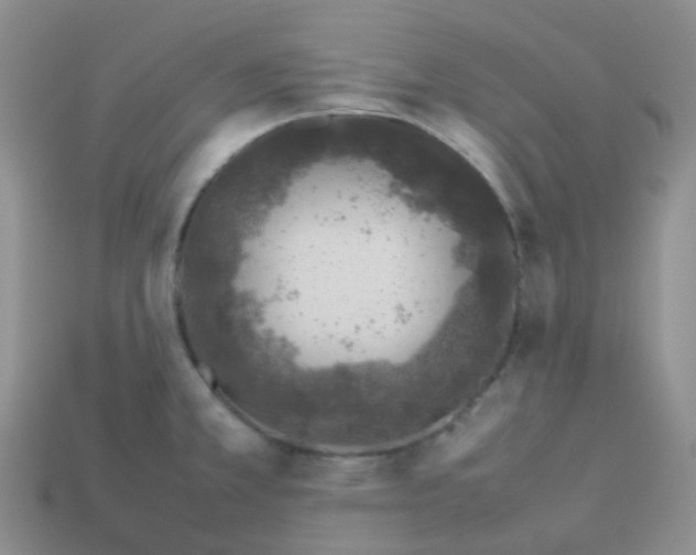 X0000113371381200910131312