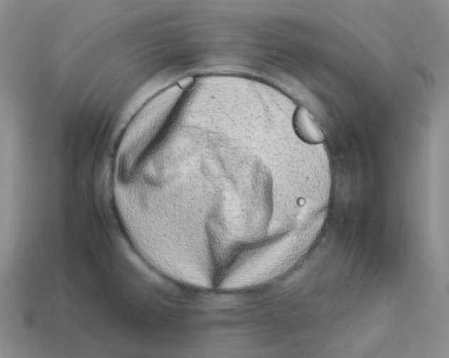 X0000113371382200910131312