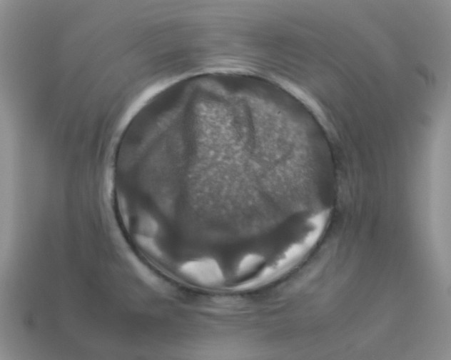 X0000113371383200910131312
