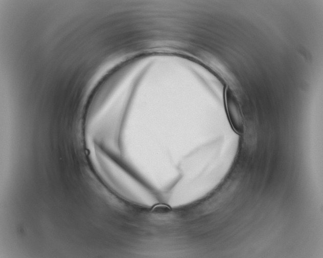 X0000113371384200910131312