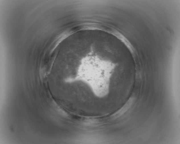 X0000113371385200910131312