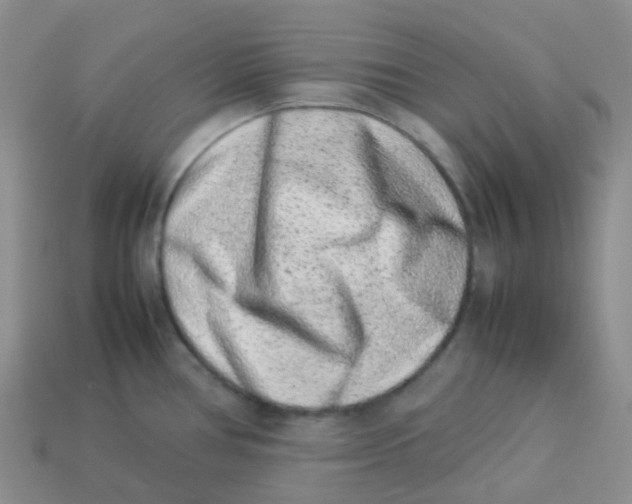 X0000113371386200910131312