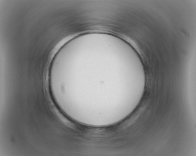 X0000113371387200910131312
