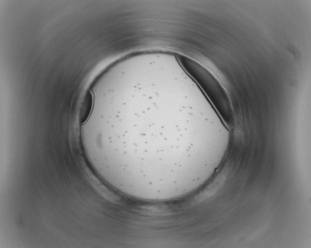 X0000113371388200910131312