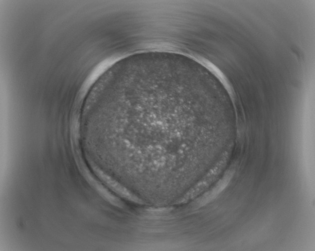 X0000113371389200910131312