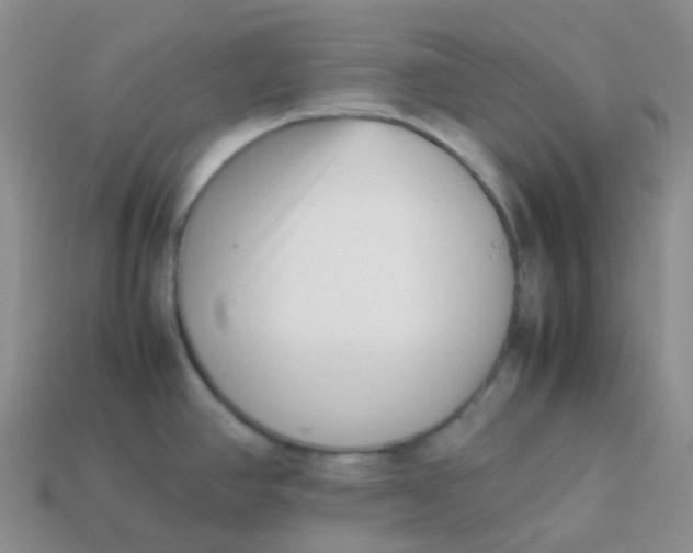 X0000113371390200910131312