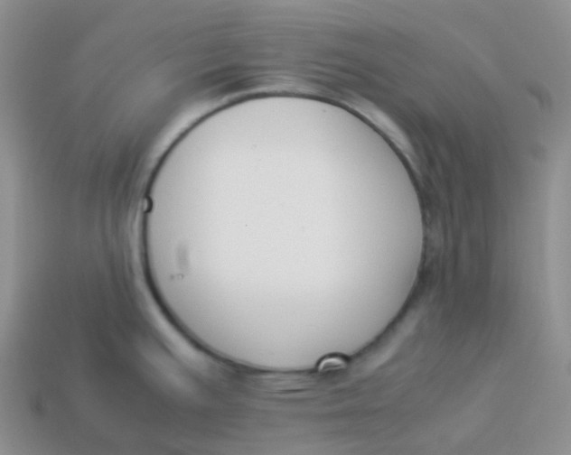X0000113371391200910131312