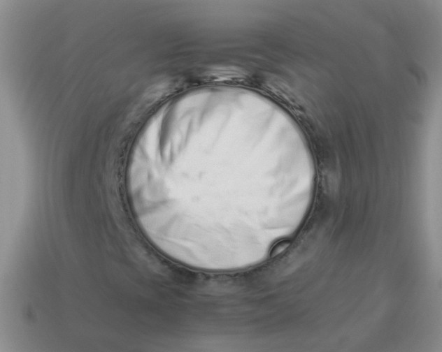 X0000113371393200910131311