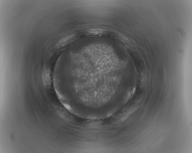 X0000113371394200910131311