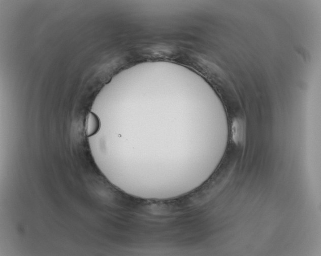 X0000113371395200910131311
