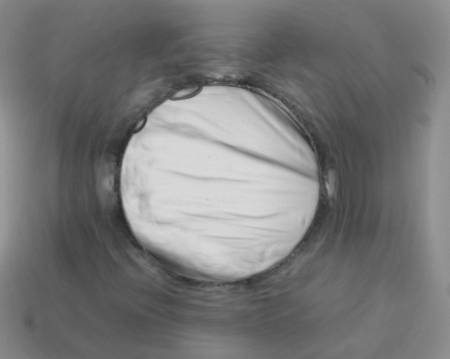 X0000113371396200910131311