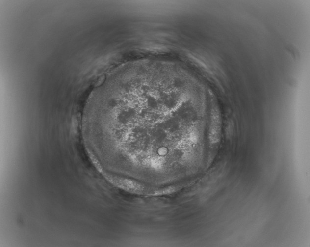 X0000113371397200910131311