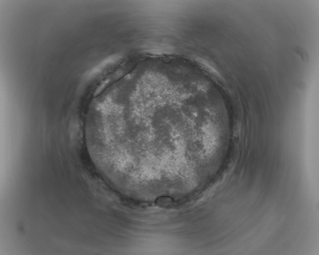 X0000113371398200910131311