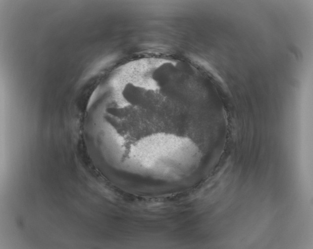 X0000113371399200910131311