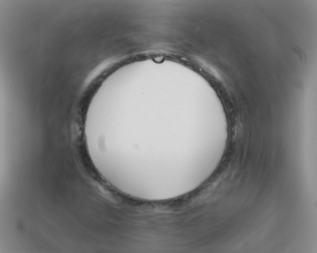X0000113371400200910131311